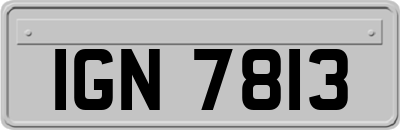 IGN7813