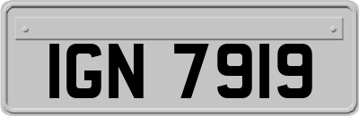 IGN7919