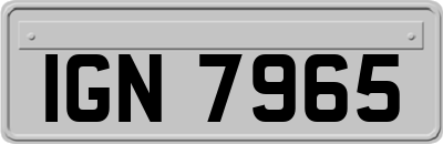 IGN7965