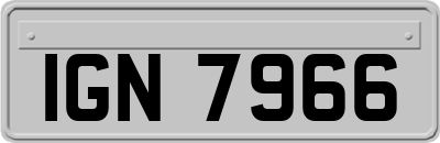 IGN7966