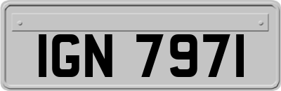IGN7971