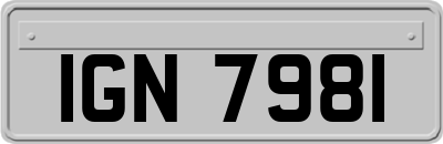 IGN7981