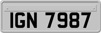 IGN7987