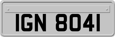 IGN8041