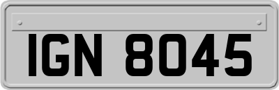IGN8045