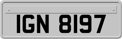 IGN8197