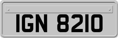 IGN8210