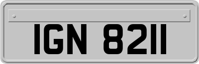 IGN8211