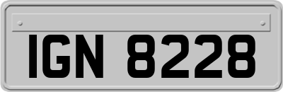 IGN8228
