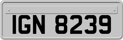 IGN8239