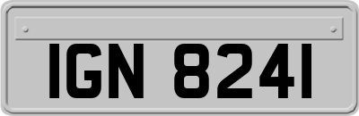 IGN8241