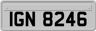 IGN8246