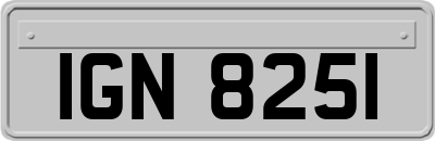 IGN8251