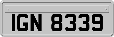 IGN8339