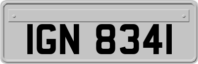 IGN8341