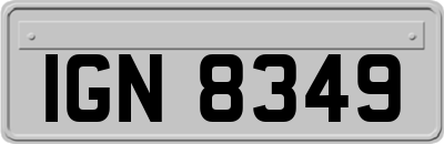IGN8349