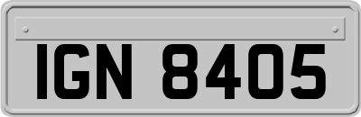 IGN8405