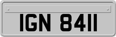 IGN8411