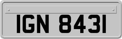 IGN8431