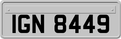 IGN8449