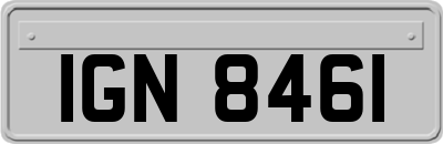 IGN8461