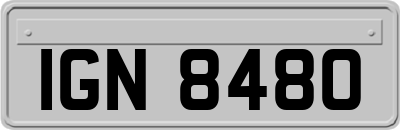 IGN8480