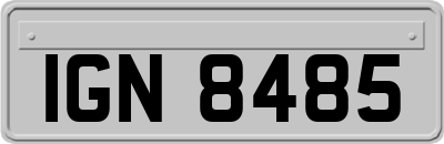 IGN8485