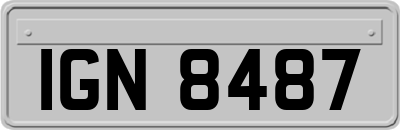 IGN8487