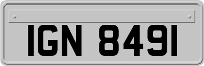 IGN8491