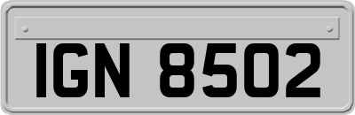 IGN8502