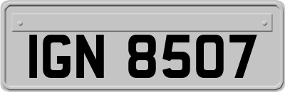 IGN8507