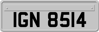IGN8514