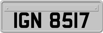 IGN8517
