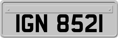 IGN8521