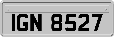 IGN8527