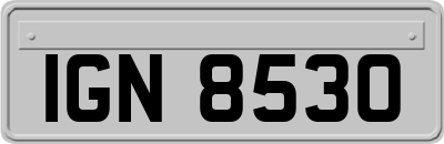 IGN8530