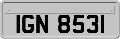 IGN8531
