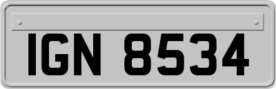 IGN8534