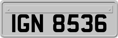 IGN8536