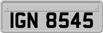 IGN8545