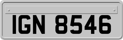IGN8546