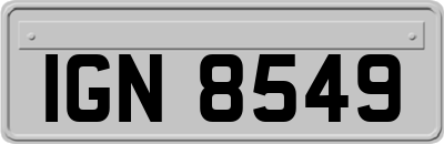IGN8549
