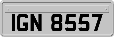 IGN8557
