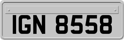 IGN8558