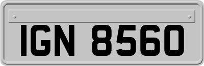 IGN8560