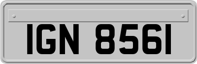 IGN8561