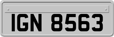 IGN8563
