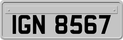 IGN8567