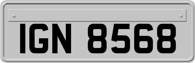 IGN8568