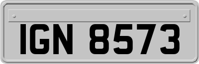 IGN8573